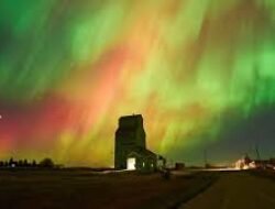 Mengapa Tromsø Jadi Destinasi Favorit Pecinta Aurora Borealis