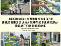 Langkah Mudah Membuat Kebun Sayur Sendiri di Lahan Terbatas Depan Rumah dengan Teknik Hidroponik